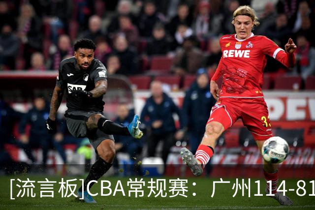 [流言板]CBA常规赛：广州114-81战胜南京，布朗19分10板、郭昊文18分